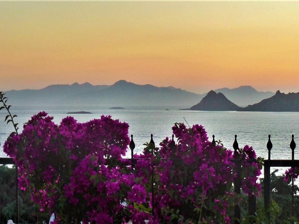 فيلا Sunset Mavi تورغوتْريس المظهر الخارجي الصورة